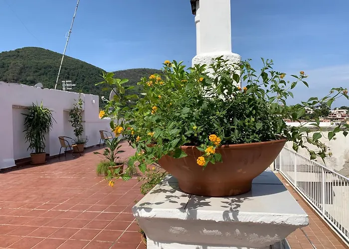 Bed and Breakfast Molo35 Ischia