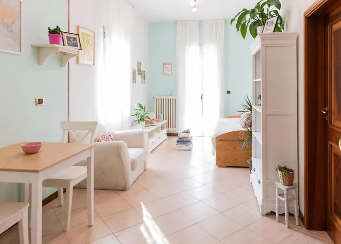 Bloom As You Are Bolonia