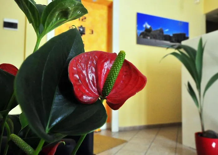 B&B Da Rì Catania