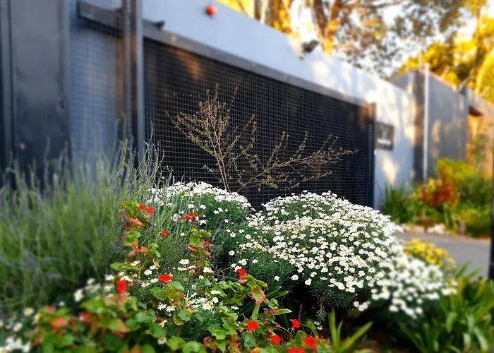 Hadeda Hall Johannesburg