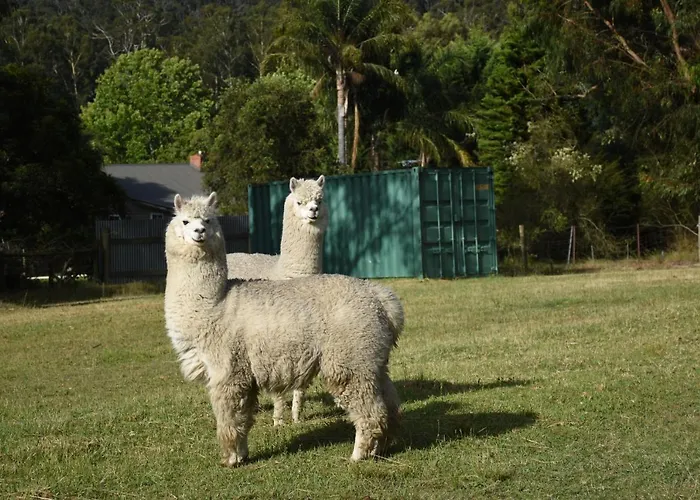Mijen'S Manor Bed & Breakfast Healesville
