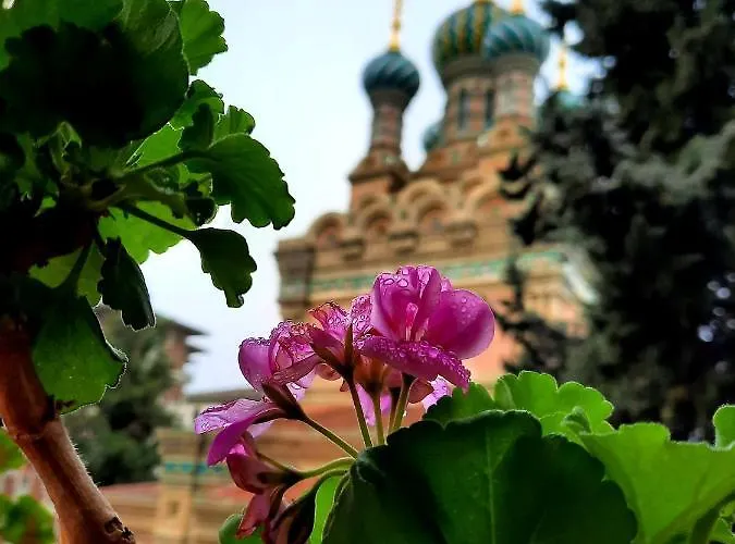 Il Sorriso Bed & Breakfast Florence