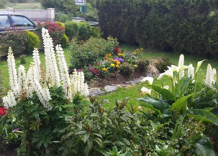 Riverwalk House B&B Oughterard