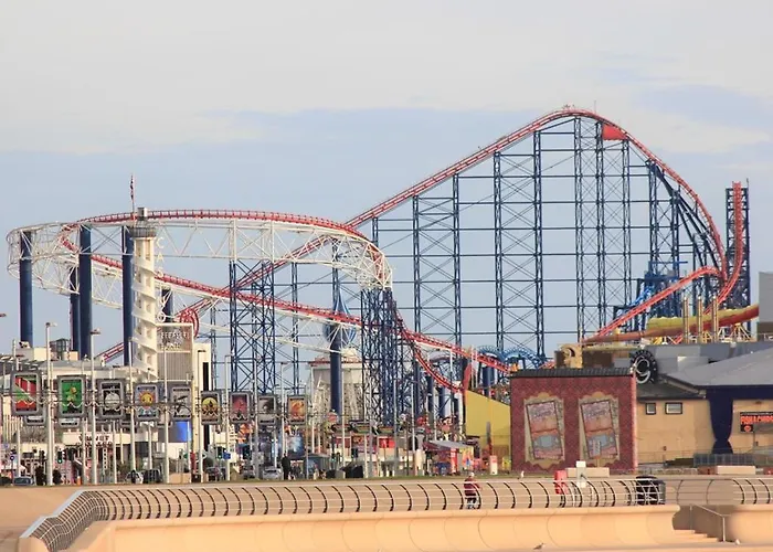 Bed and BreakfastSeagull