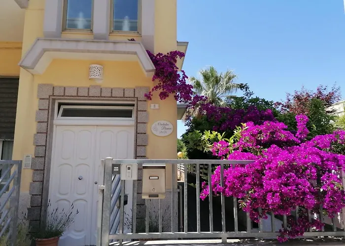 Orchidea Bianca B&B Fasano