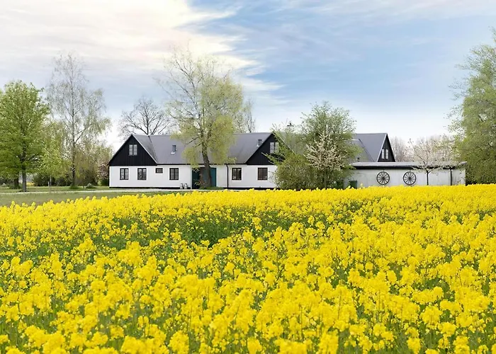 Mellby Atelier Pa Oesterlen Kivik