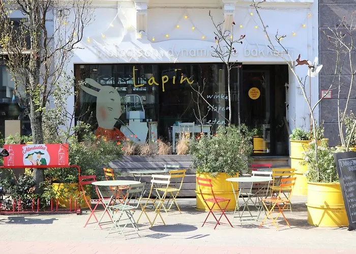 Logies Lapin Bed & Breakfast Antwerp