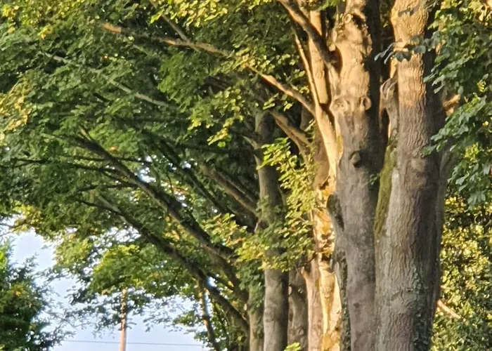 Wood Rising Bed & Breakfast Newark-on-Trent 