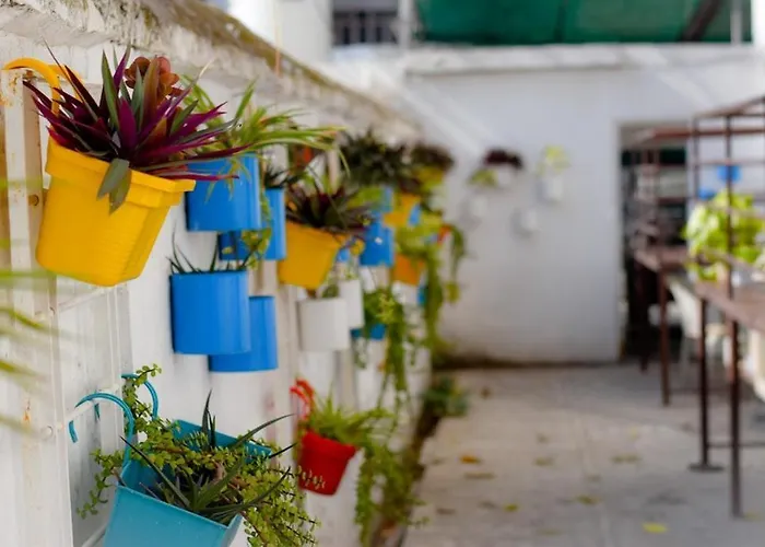 Bhola Bhawan Bed And Breakfast Jaipur