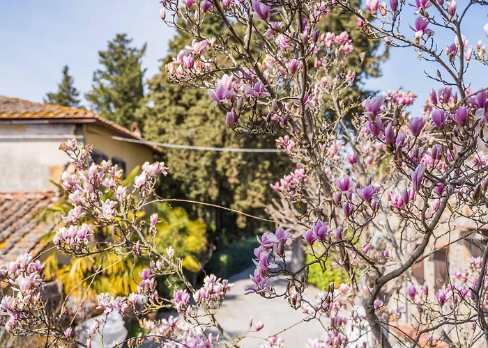 Bed and Breakfast La Magnolia Greve in Chianti