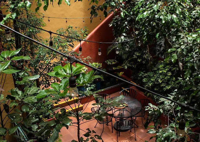 The Red Tree House Bed & Breakfast Mexico City