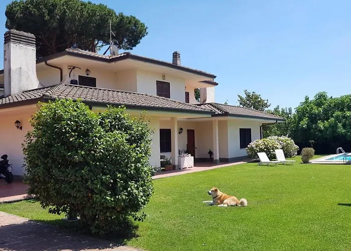 La Pedica B&B Grottaferrata