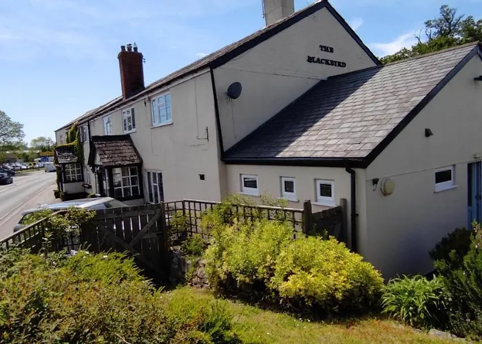 The Blackbird House, Apartments And Studios Wellington 