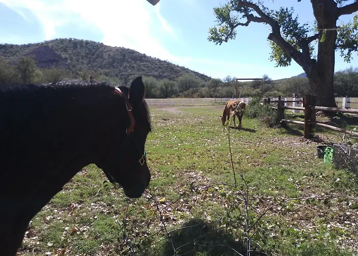 Rancho Santa Cruz Bed & Breakfast Tubac