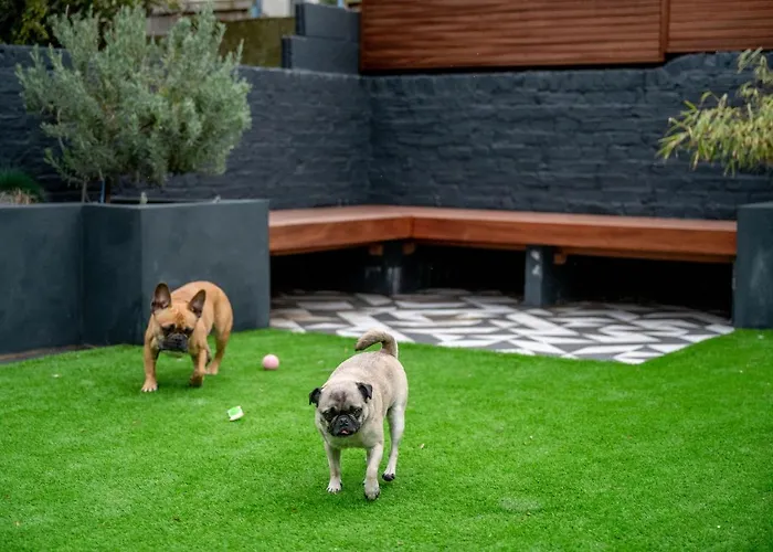 Doghouse Margate Bed & Breakfast