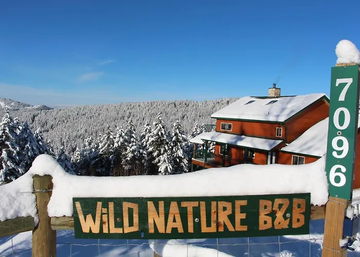 Wild Nature B&B