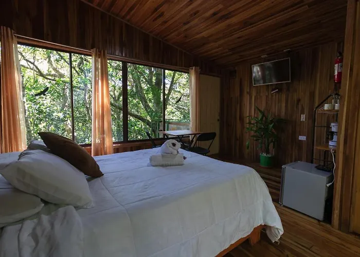 The Green Tree Lodge Monteverde