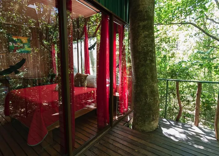 The Green Tree Lodge Monteverde