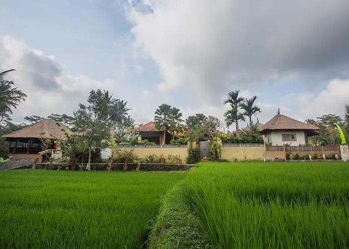 Ubud Luwih Nature Retreat