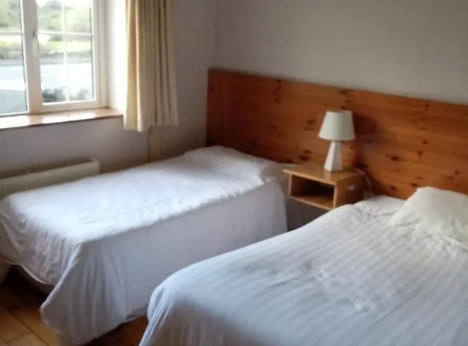 Parnell House Bed & Breakfast Ennis