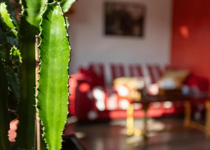 Chambre D'Amis - Chambres D'Hotes-B&B-Guest House Paris