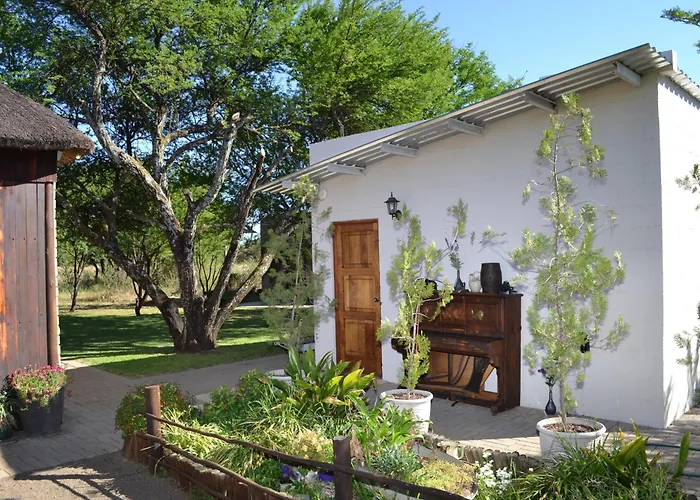 Thorn Tree Bloemfontein Villa