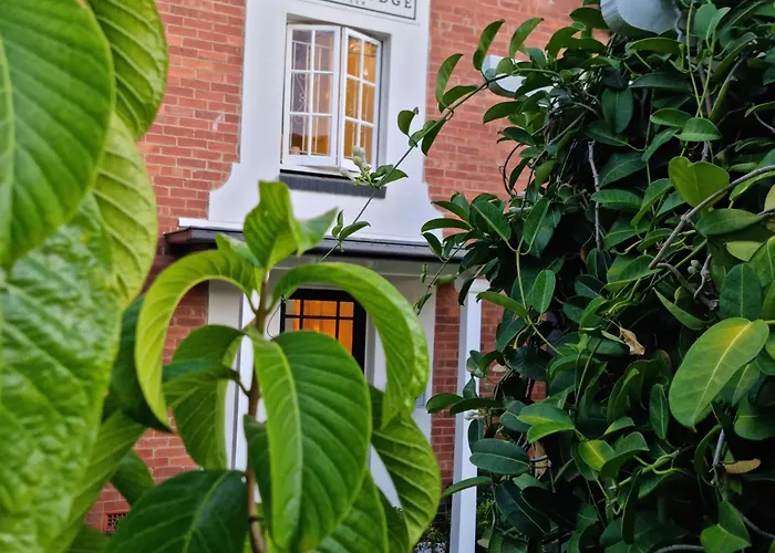 Edward Lodge New Fam Brisbane