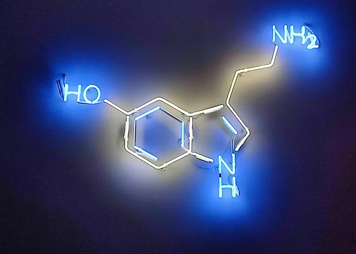 Il Sogno Di Afrodite Luxury B And B Rom