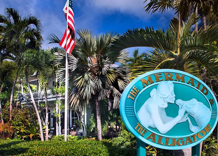 The Mermaid & The Alligator Cayo Hueso