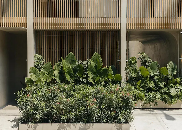 Octavia Casa Bed & Breakfast Mexico City