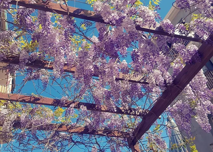 Lumìa Bed&Breakfast