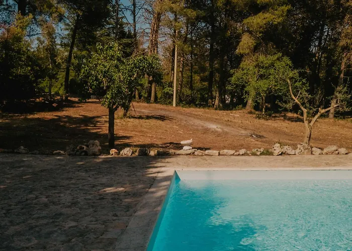 Bed and Breakfast Trulli del Carmine Martina Franca