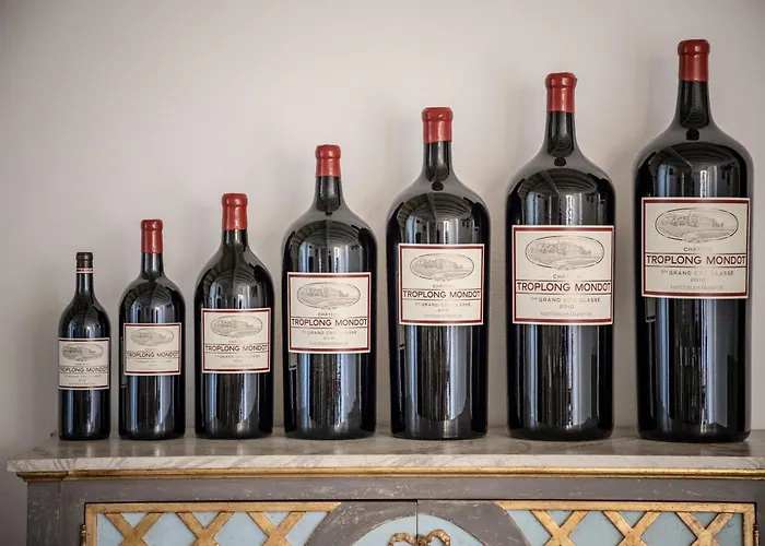 Les Clefs De Troplong Mondot Saint-Emilion