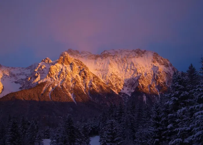 Bäckeralm© - B&B 16 + Mittenwald