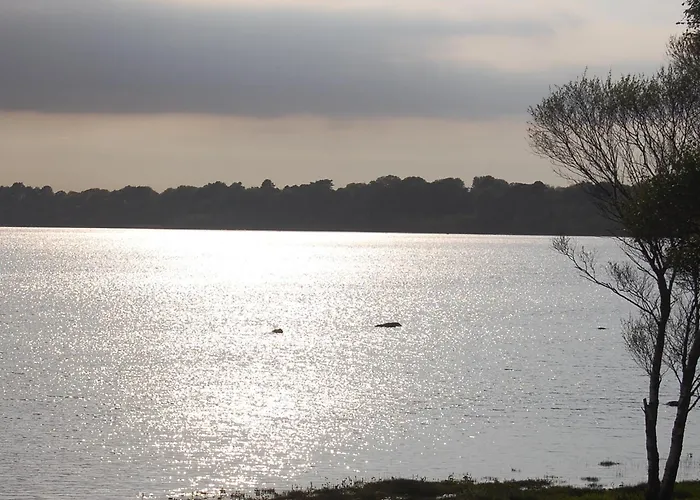 Crystal Springs B&B Killarney