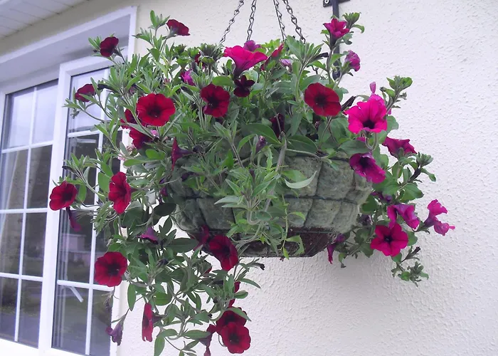 Seafield House B&B Clifden