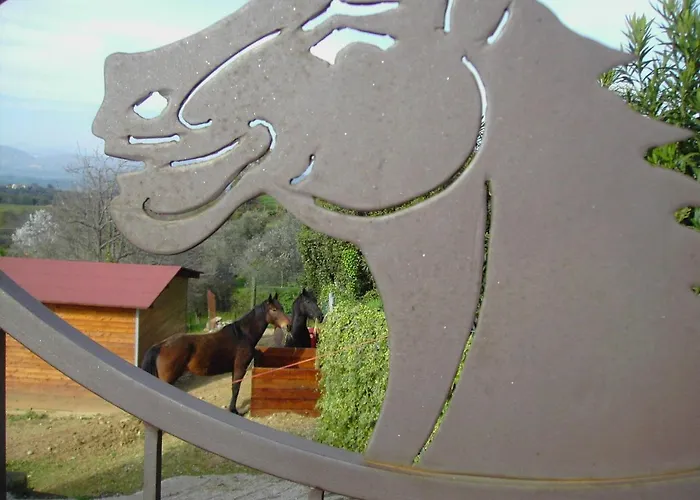 Agriturismo Poggio del Drago Montemerano