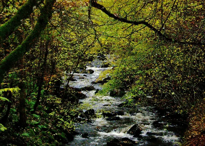 Brae House Bed & Breakfast