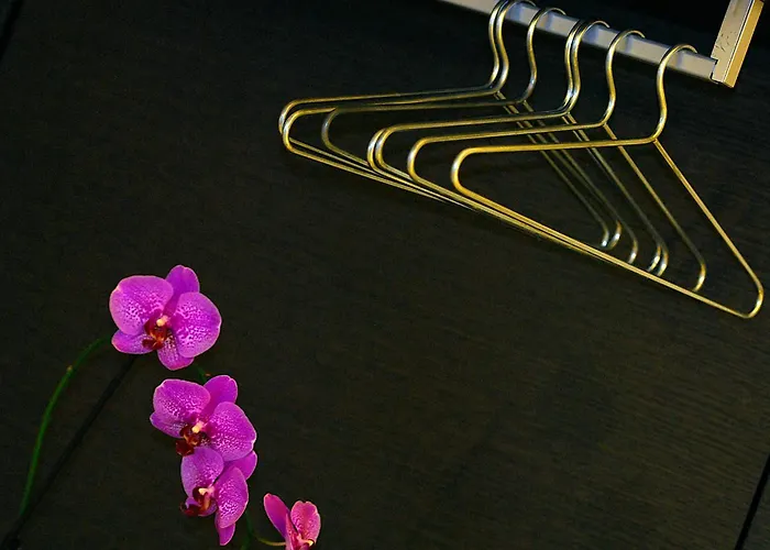 Bed and BreakfastB&B Best Pantheon