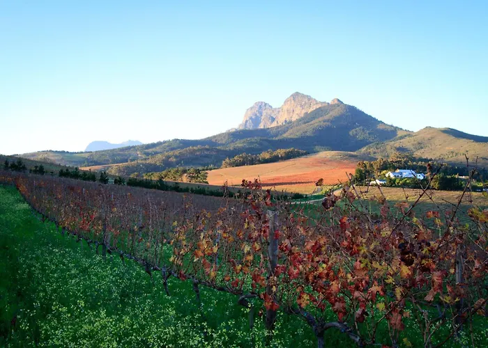 Bed and Breakfast Marianne Wine Estate Stellenbosch