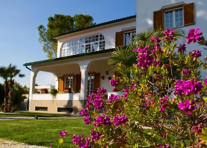 Bed and Breakfast Le Duchesse Trani