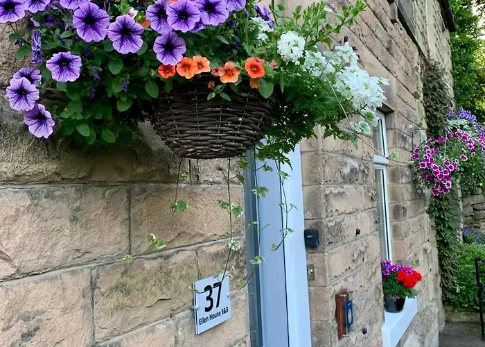 Bed and BreakfastEllen House Bed And Breakfast