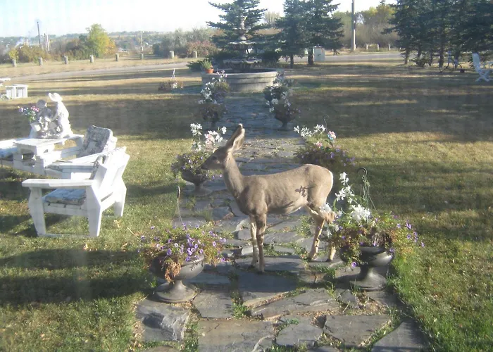 Bed and BreakfastWakamow Heights Bed And Breakfast