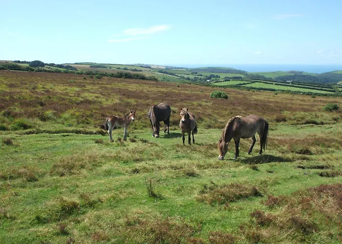 Coombe Farm Bed & Breakfast Lynton