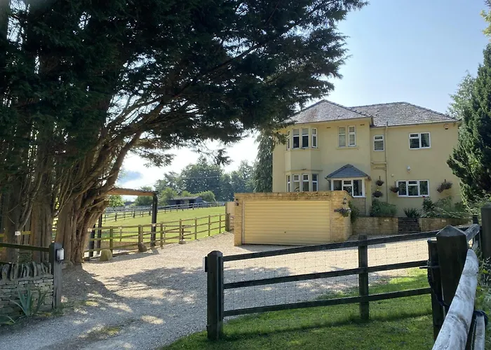 Bed and BreakfastSunny Nest