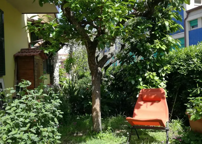 Bed and Breakfast L'Olivo La Spezia