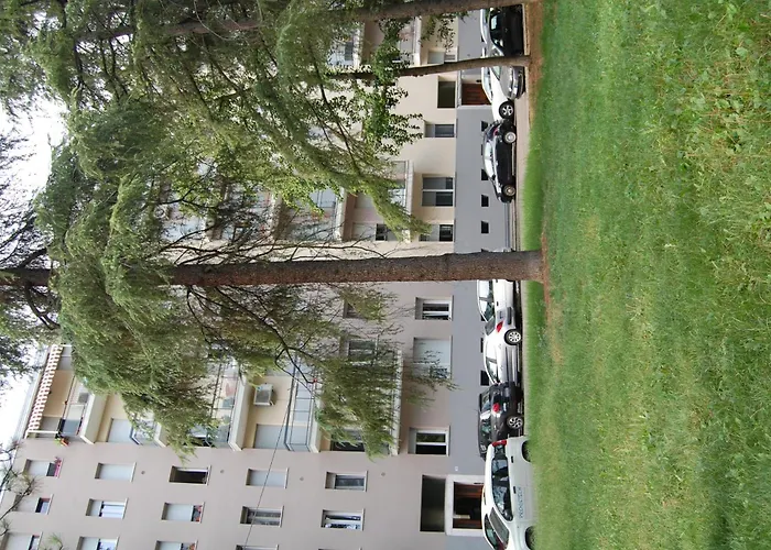 Hotel Orchidea Bologna