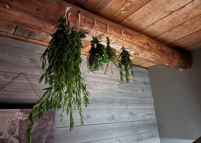 Asbergs Gard & Friluftscenter Bed and Breakfast Järvsö