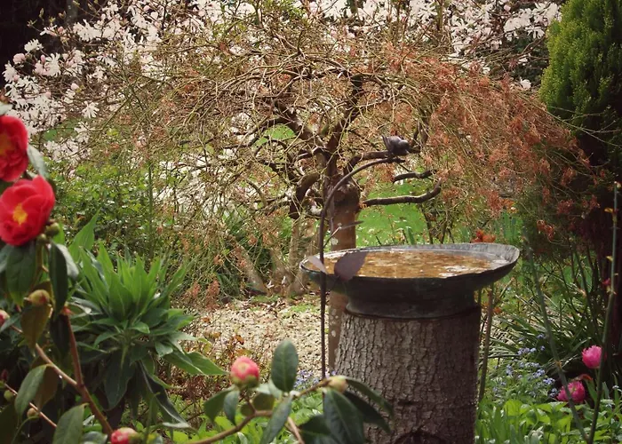 Green Gables Bed And Breakfast Cygnet