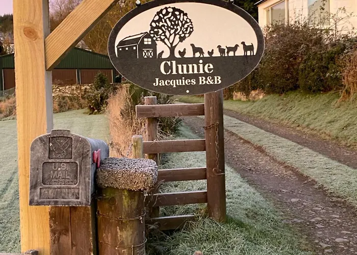 Jacquie'S B&B -Dumfries-Room With A View